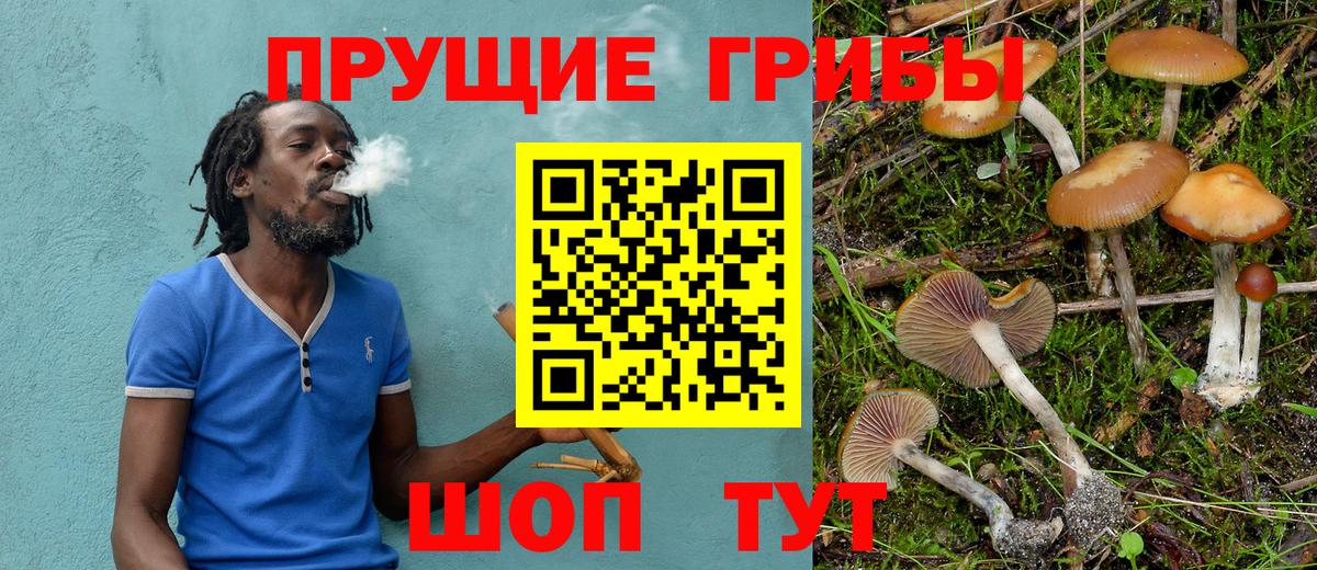Псилоцибиновые грибы мухоморы  Галлюциногенные грибы Magic Shrooms  Вичуга  хочу   Вход с VPN 