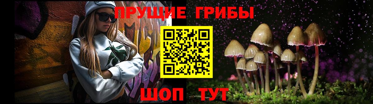 Галлюциногенные грибы Magic Shrooms Вичуга